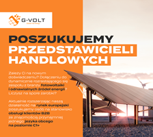 Przedstawiciel handlowy z językiem francuskim